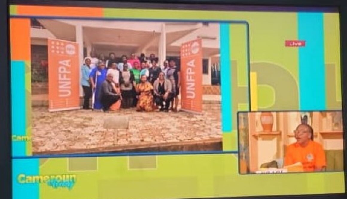 Advocacy for the 2025 16 Days of Activism Against Gender Based Violence in Yaoundé......