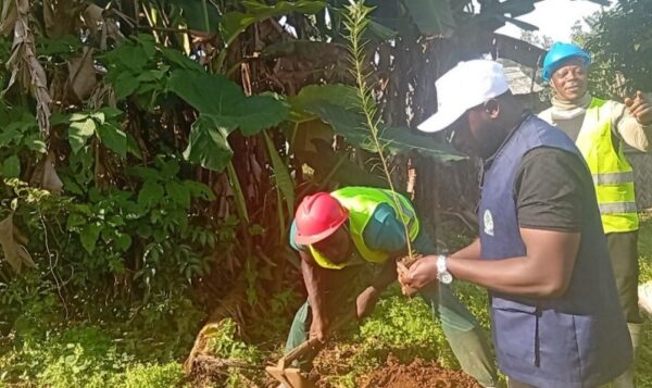 The Execution of the High Intensity Labour Approach (Hila) Project Sponsored by the North West Regional Assembly 03