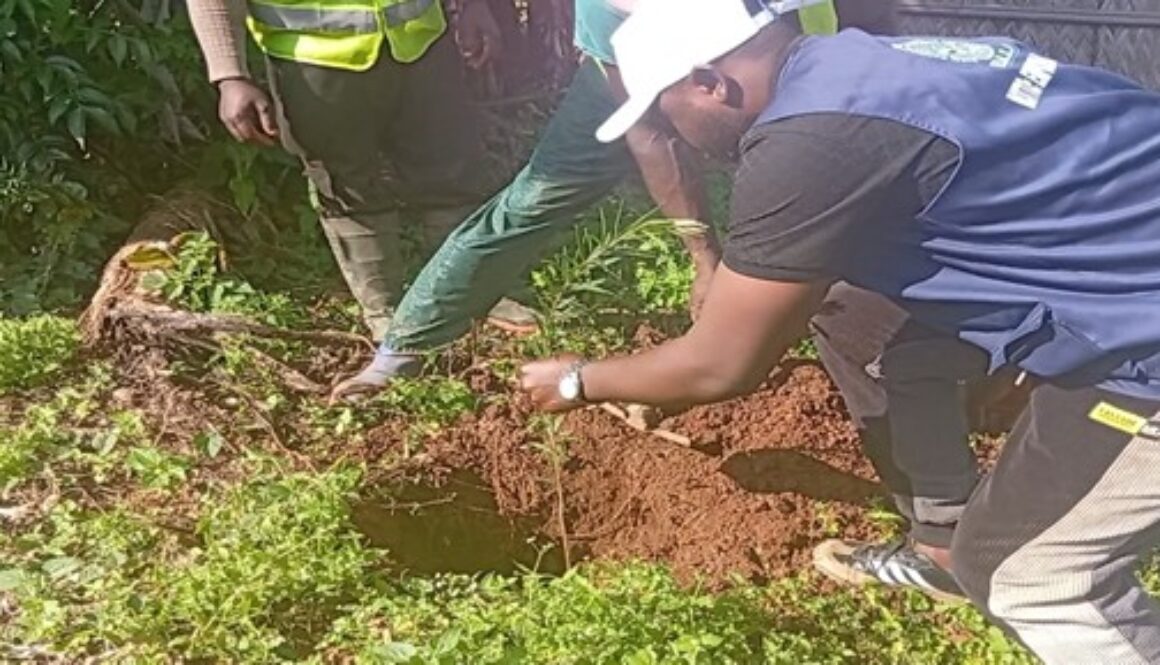 The Execution of the High Intensity Labour Approach (Hila) Project Sponsored by the North West Regional Assembly 04