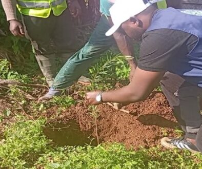 The Execution of the High Intensity Labour Approach (Hila) Project Sponsored by the North West Regional Assembly 04