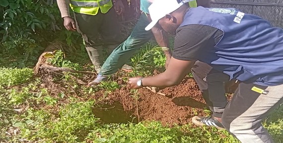 The Execution of the High Intensity Labour Approach (Hila) Project Sponsored by the North West Regional Assembly 04