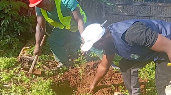 The Execution of the High Intensity Labour Approach (Hila) Project Sponsored by the North West Regional Assembly